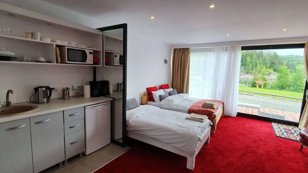 Apartament modern Colibita
