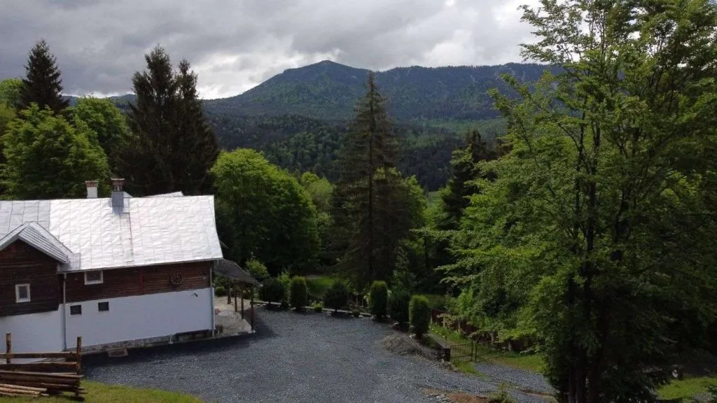 Cazare colibita Casa Gabriela in inima padurii