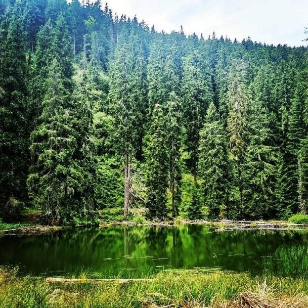 ce poti face la colibita, poza peisaj lac