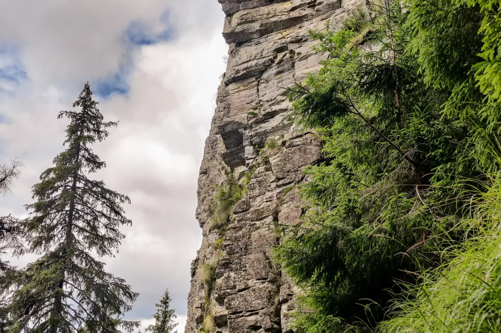 poza munte colibita