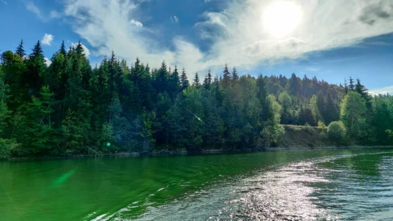 poza de pe lac cu lumina lacului